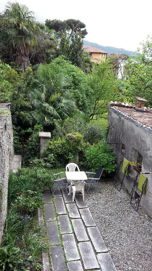House Of Cats Apartment Domaso
