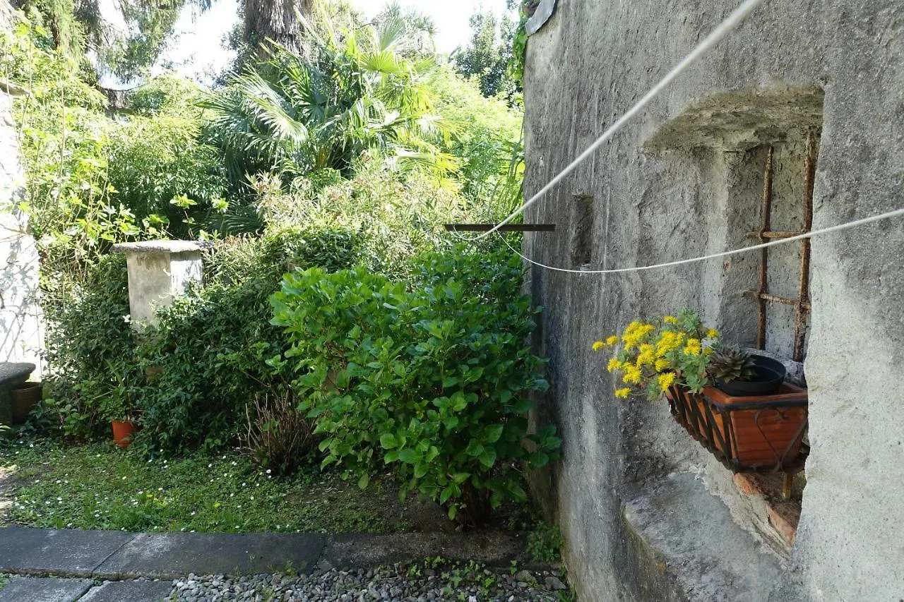 House Of Cats Apartment Domaso