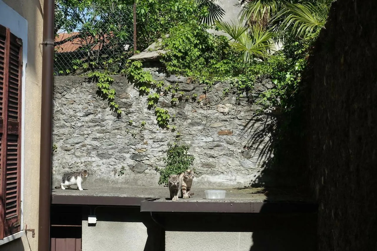 House Of Cats Apartment Domaso 0*,  Italy